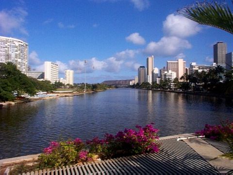 Ala Wai Canal