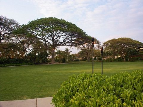 Mauna Kea Beach Hotel 1