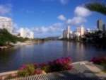 Ala Wai Canal