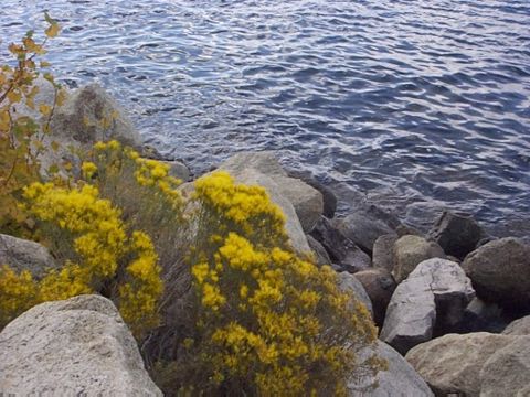 Rest Area at Lakeridge 3