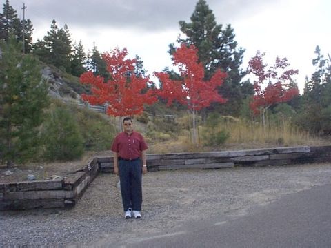 Rest Area at Lakeridge 6