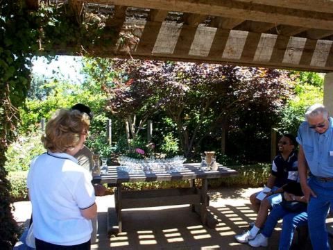Wine Tasting at Robert Mondavi Winery