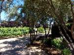 Robert Mondavi Winery 6