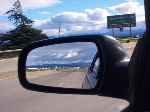 Picture of The Month