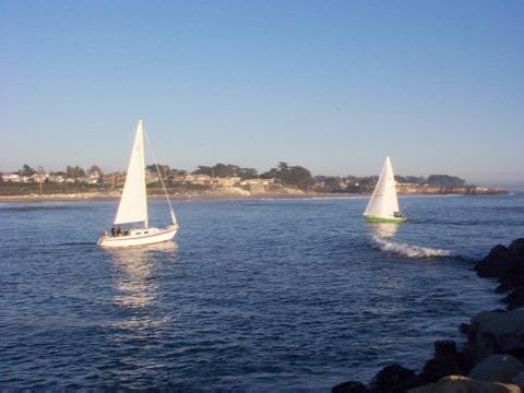 Picture of The Month