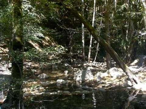 Saratoga Springs Park