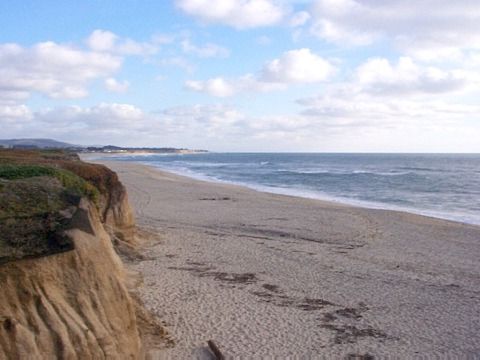 Picture of The Month